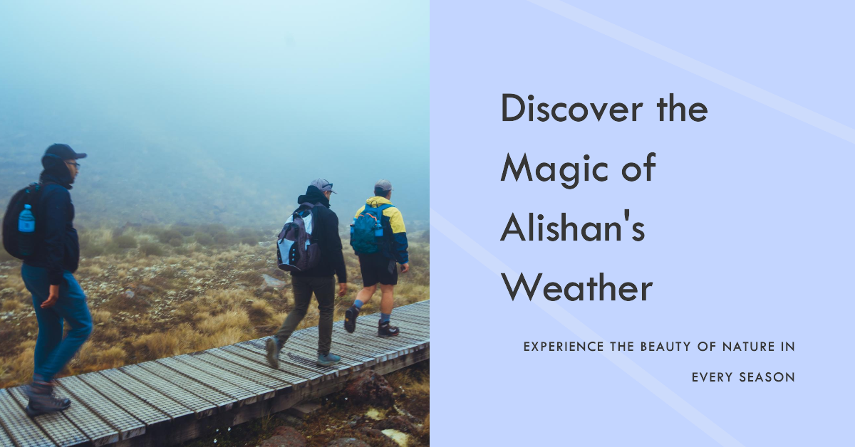 Alishan Weather in December: Decoding the Winter Weather for Travelers
