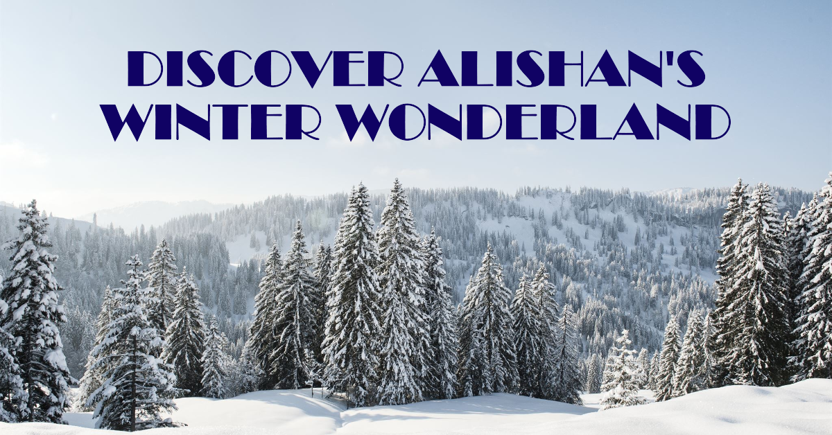 December Delight: Navigating Alishan's Weather for a Magical Experience